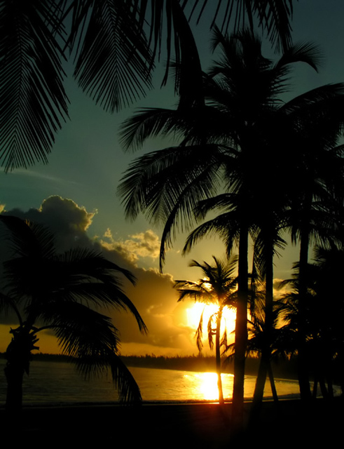 Carribean Sunrise