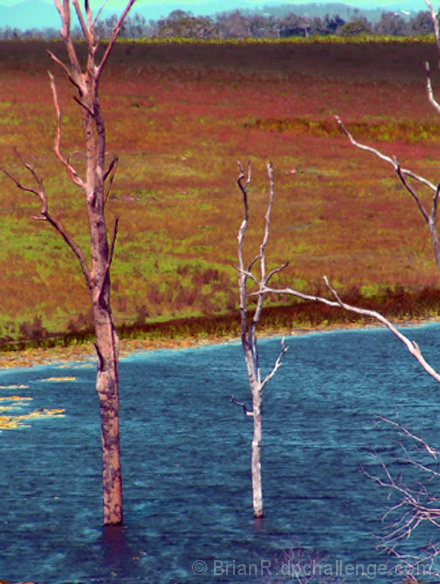 Wind On Water