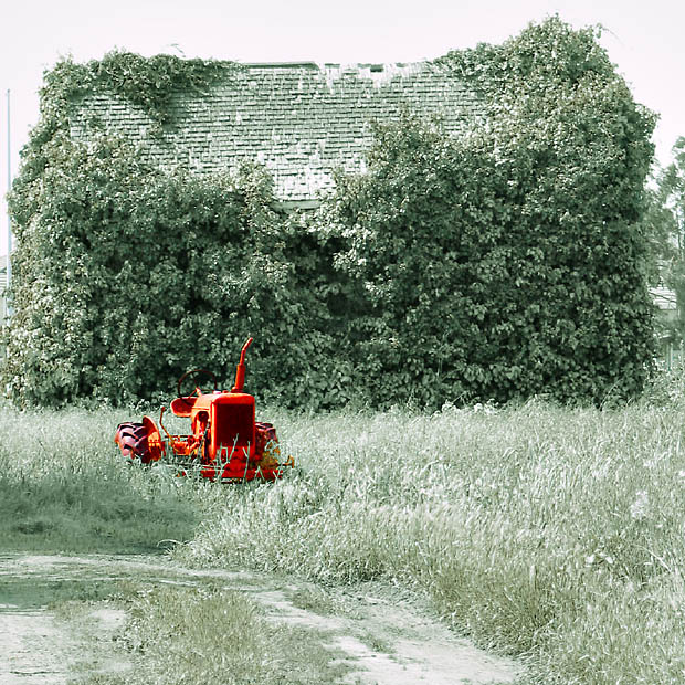 Old Barn and Tractor