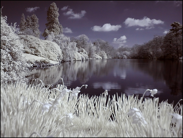 Lake Infrared