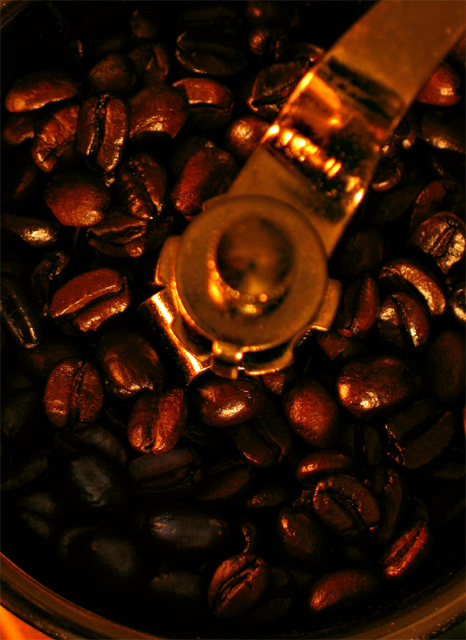 primo beans (silky jazz)