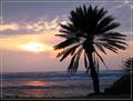 Ho'omaka 'ana