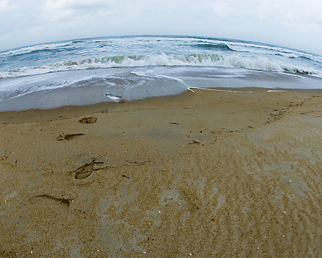 the first footsteps in the western world