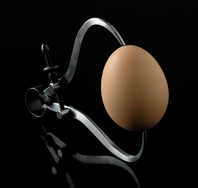 The Design of an Egg