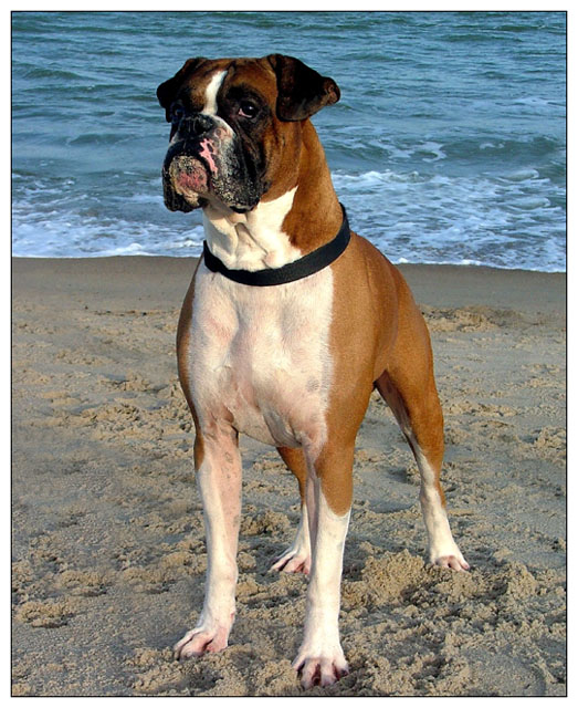 Day at the Beach