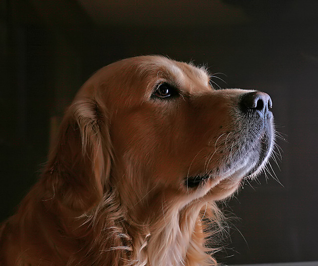 George