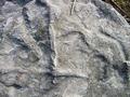 6000.000 year  old letter  "L"
