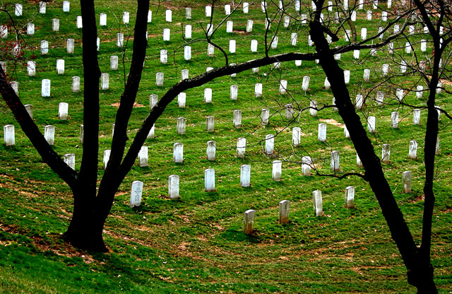 Letter V - Arlington Silhouettes