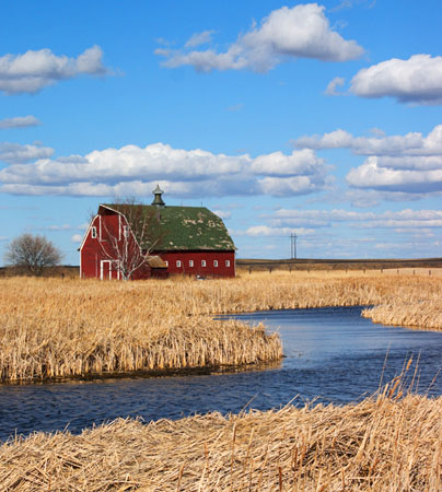 Spring on the Farm