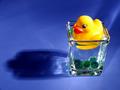 Rubber Ducky you're the one!