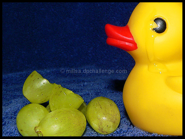 Tear shead over a broken grape  (PS: look in tear for 3 light sources)