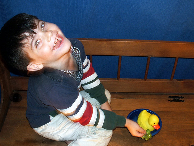 Ma,,,, ducks dont eat grapes....