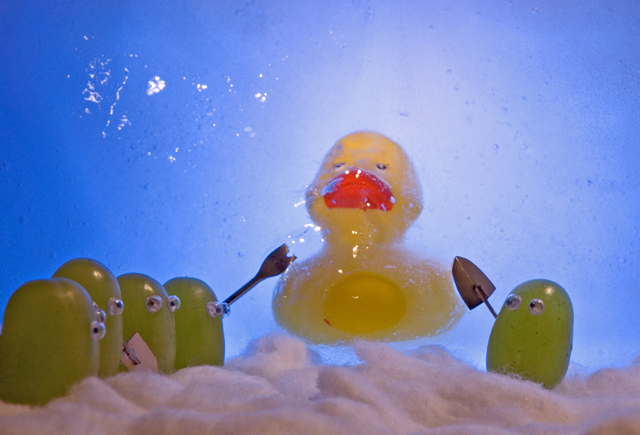 Discovering the "Wooly Ducketh"