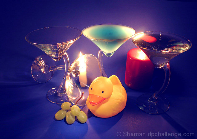 Still Life With Duck