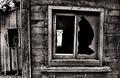Broken Home