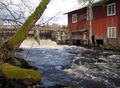 The river float by