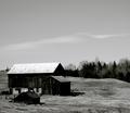 Out To Pasture