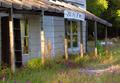 Beautiful Despite Abandonment