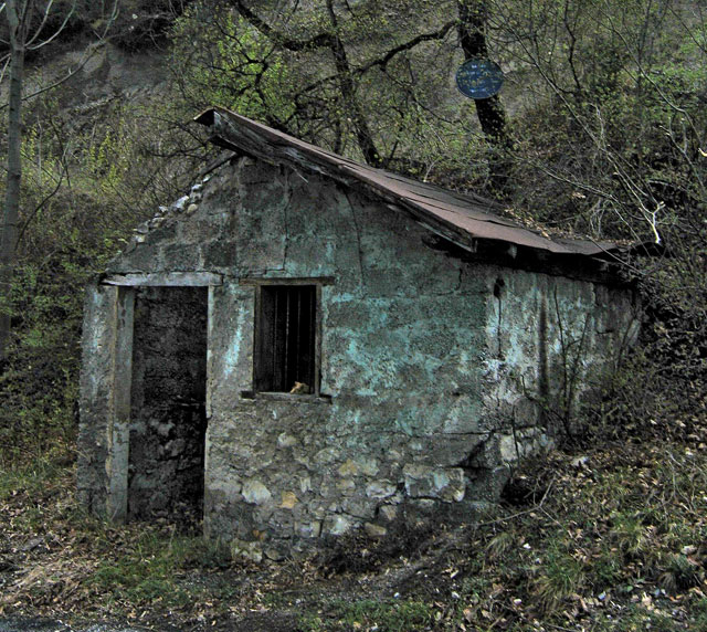 Reclaimed By Nature