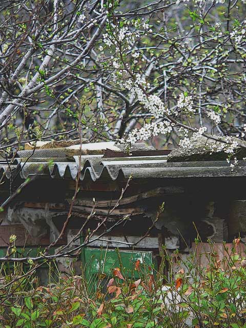 Decay in Springtime