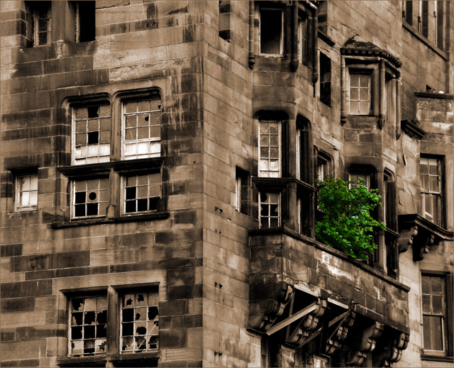 Abandoned Building Turned into Plant Pot