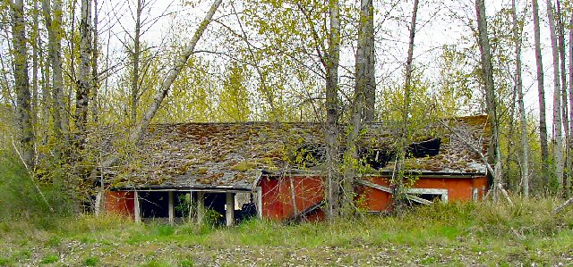 and along came a mudslide (May 18, 1980)