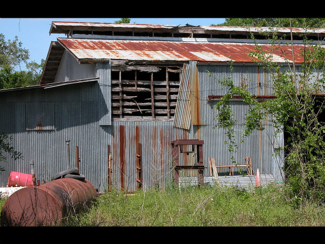 Withered and Weathered