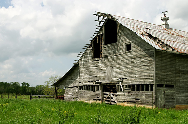 Old Hall Brothers Dairy