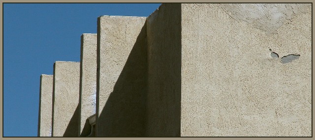 Yucco Stucco