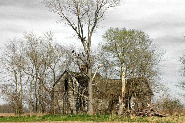 Buzzard Mansion