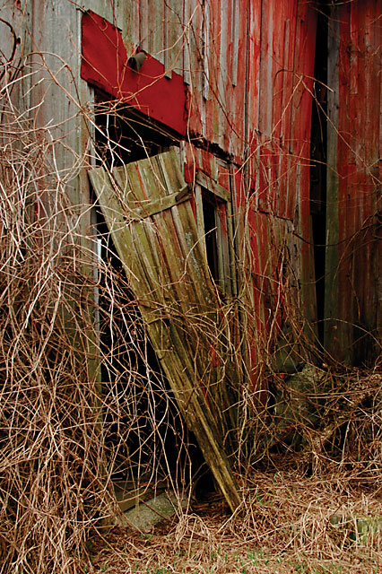 Abandoned Old Barn