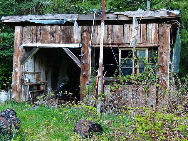 this old shed