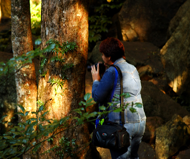 The Nature Photographer