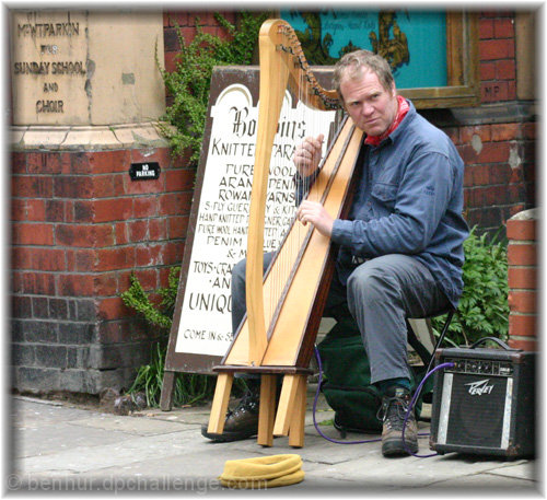 Whitby Harpist