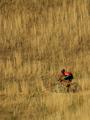 Cross Country