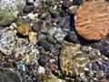 River Rocks