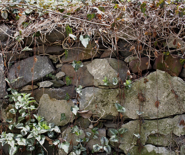 old rock wall