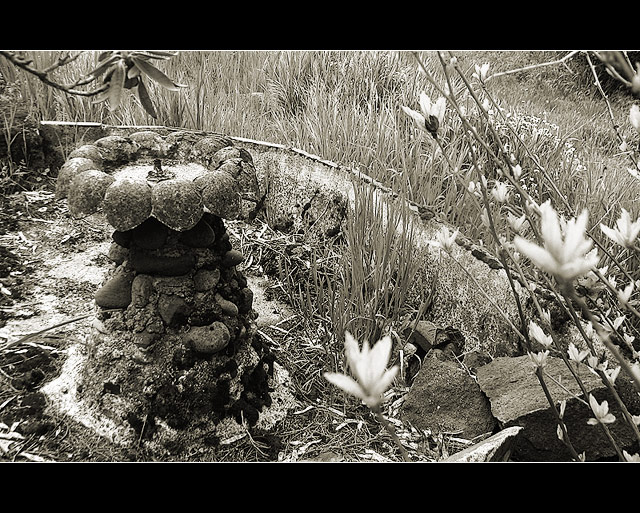 Rock: The Abandoned Fountain