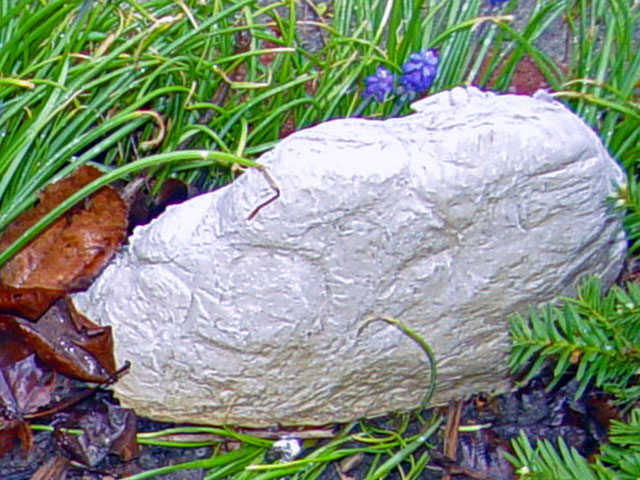 Rock in its naturally Sitting