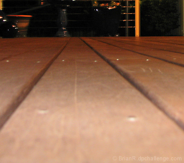 Timber Tracks
