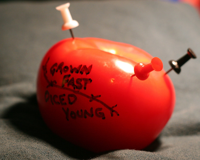 A Tack on the Killer Tomato