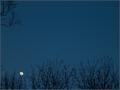 Rising Moon