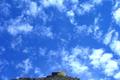 An inhospitable place to grow