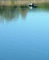 Boating
