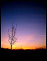 Spring Eve