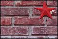 Star Among Bricks