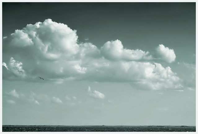 Soaring in the heavens