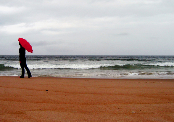 a grey day in monterey