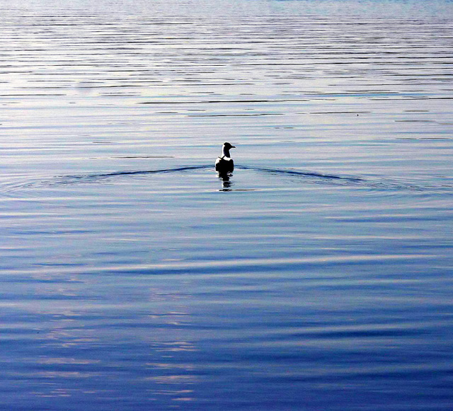 On My Own In The Spring
