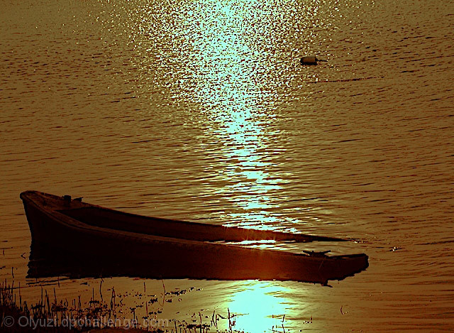 Submerged Afloat